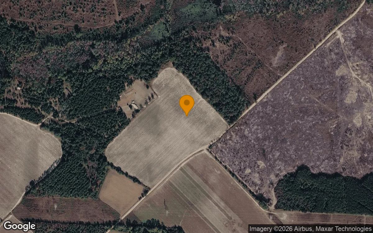 35.09 Acres in Glenwood - Wheeler County, GA - Main image