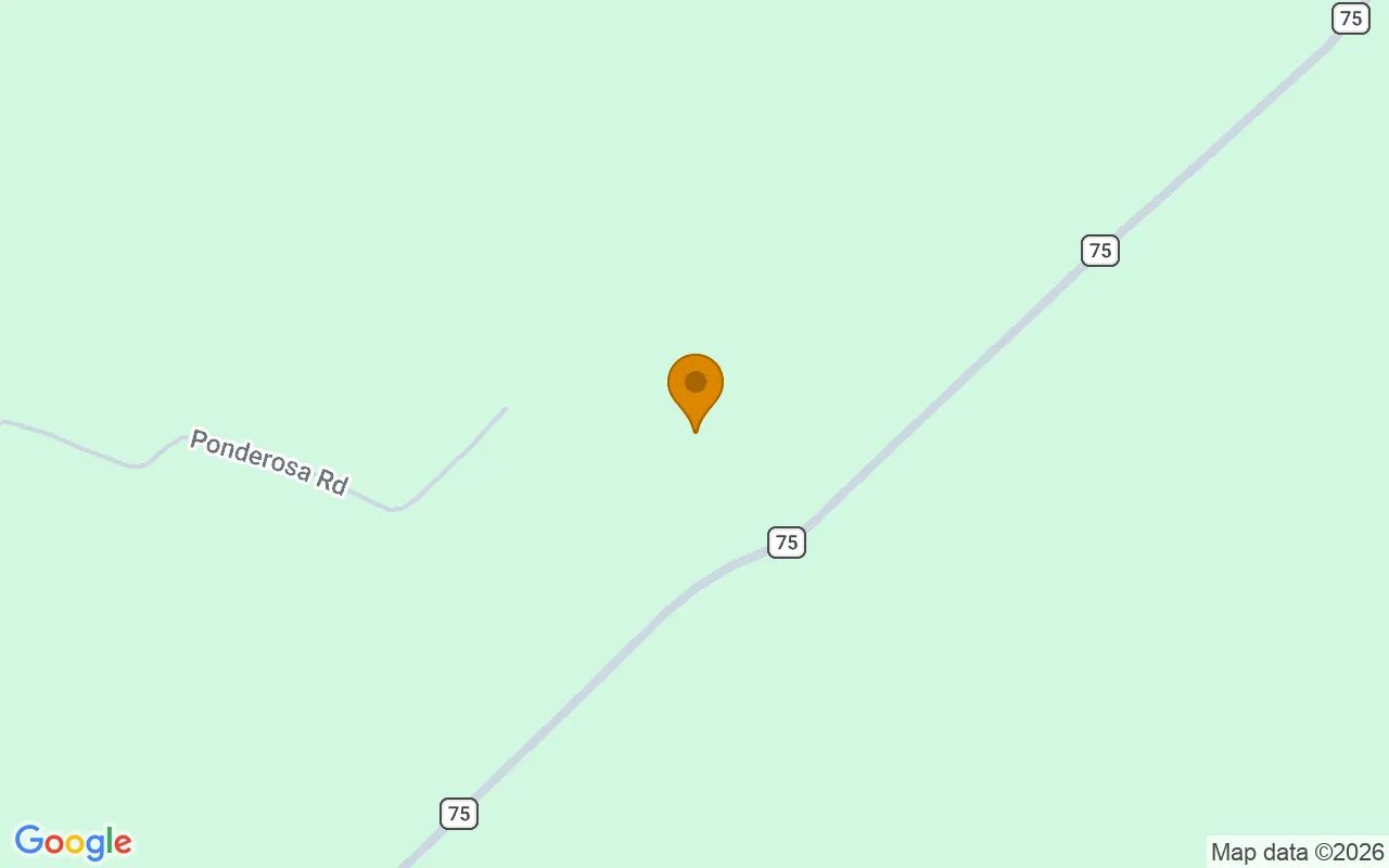 35.09 Acres in Glenwood - Wheeler County, GA in Wheeler County, GA