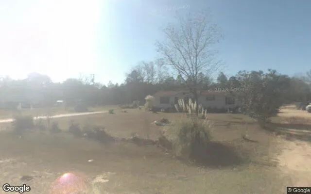 Decorative background for 7.18 Acres in Buena Vista - Schley County, GA image 6