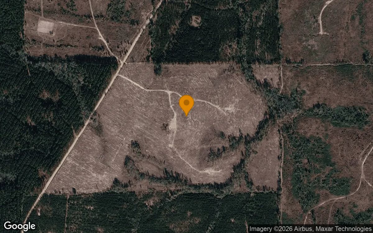 74.57 Acres in Pitts - Wilcox County, GA - Main image