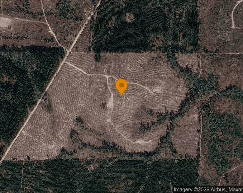 74.57 Acres in Pitts - Wilcox County, GA in Wilcox County, GA