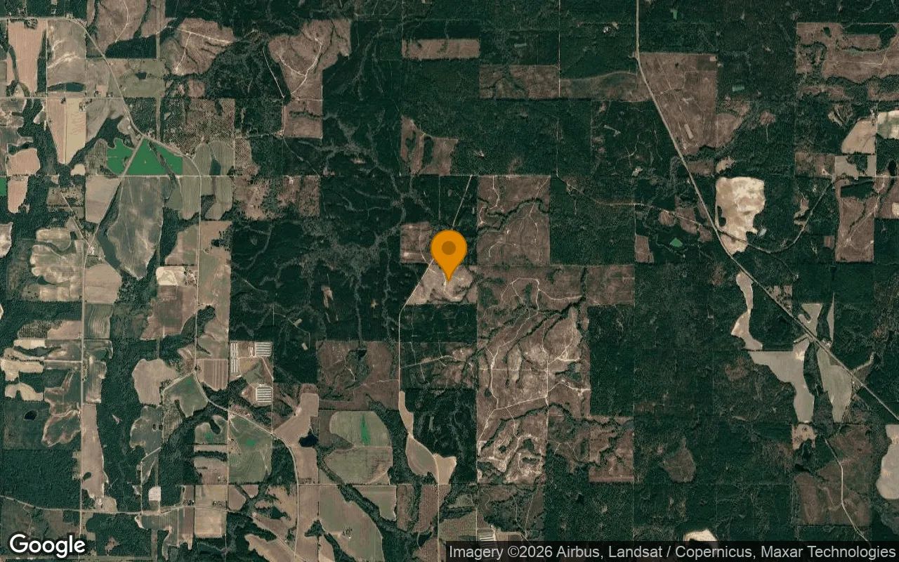 74.57 Acres in Pitts - Wilcox County, GA in Wilcox County, GA
