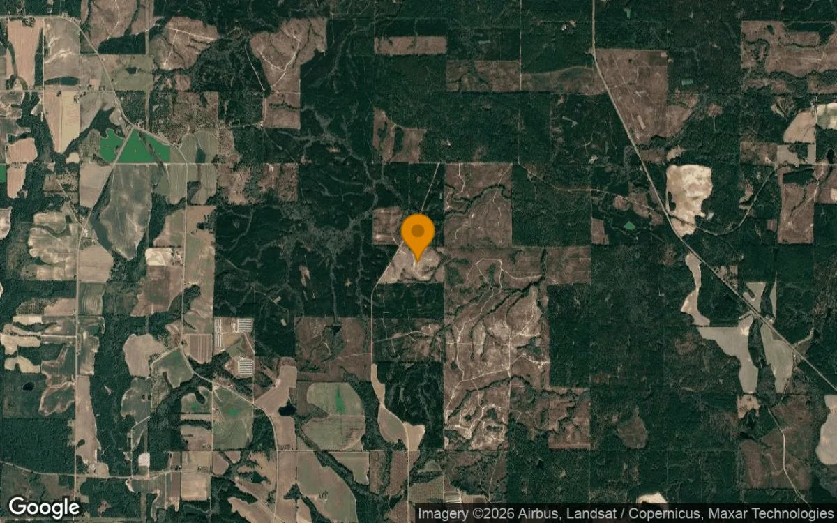 74.57 Acres in Pitts - Wilcox County, GA - Image 3