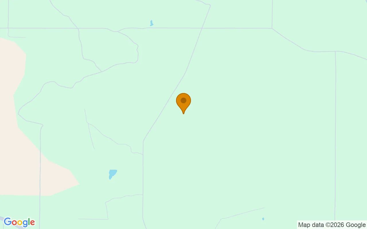 74.57 Acres in Pitts - Wilcox County, GA in Wilcox County, GA