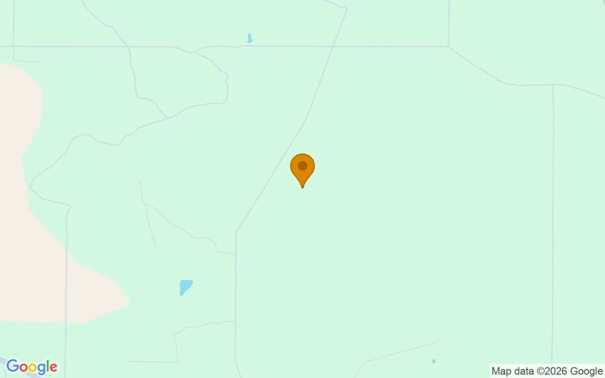 74.57 Acres in Pitts - Wilcox County, GA - Image 4