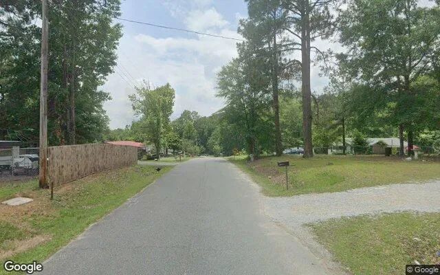 Decorative background for 0.15 Acres in Roberta - Crawford County, GA image 6