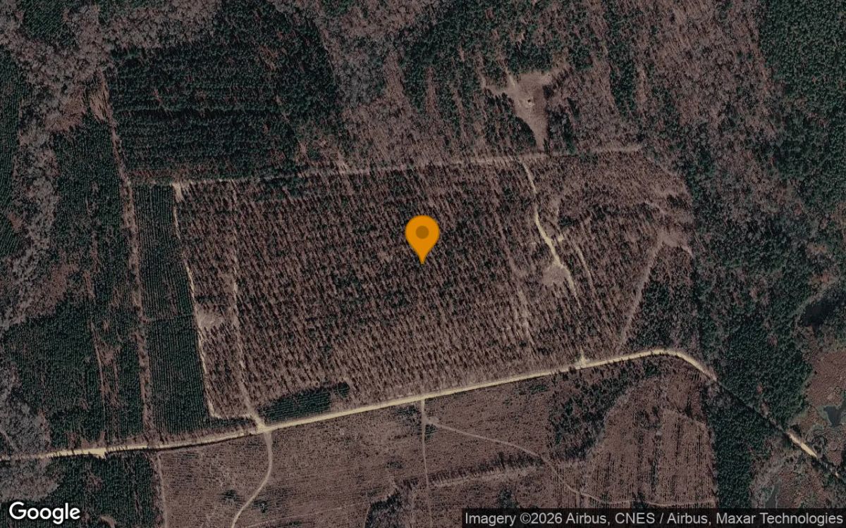 74.7 Acres in Soperton - Treutlen County, GA - Main image