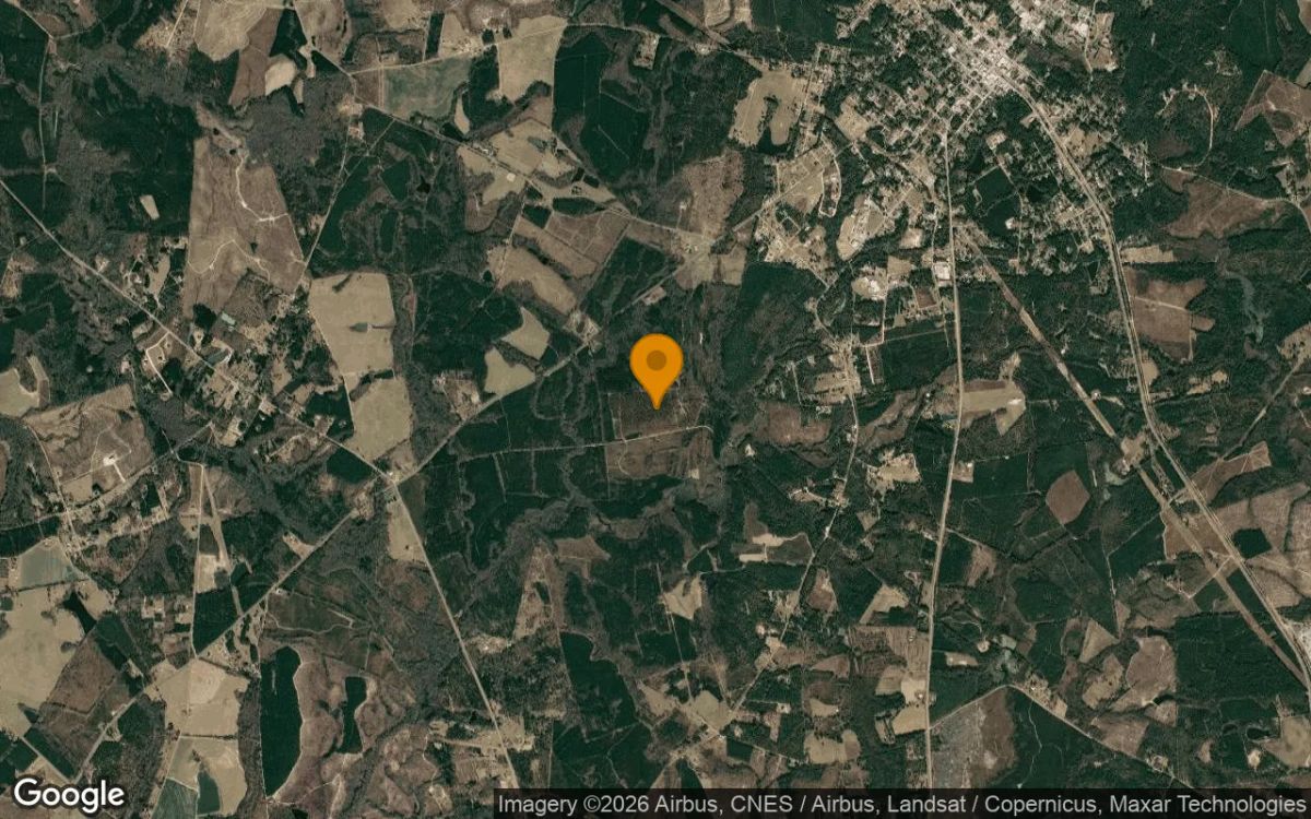 74.7 Acres in Soperton - Treutlen County, GA - Image 3