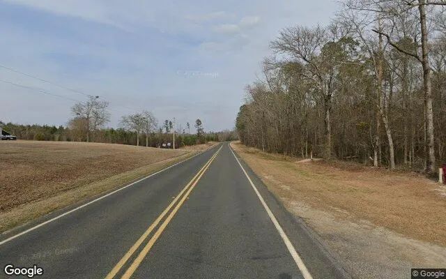Decorative background for 74.7 Acres in Soperton - Treutlen County, GA image 5