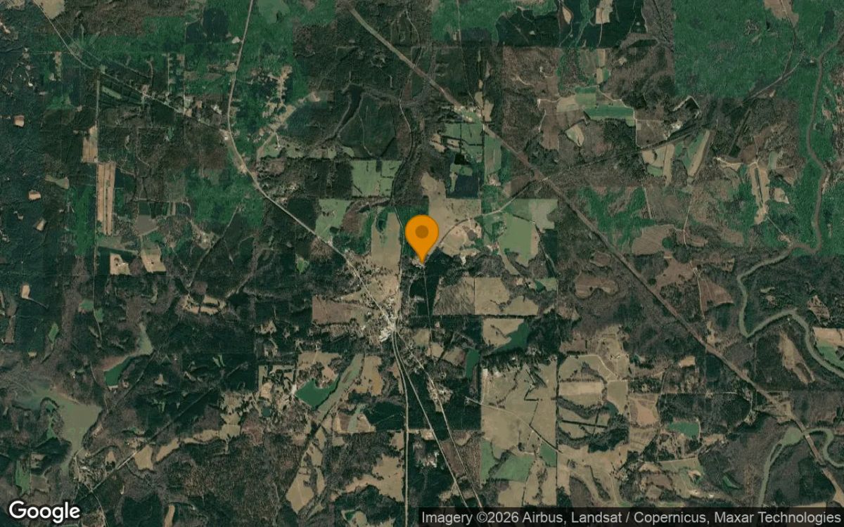 0.27 Acres in Gay - Meriwether County, GA - Image 3