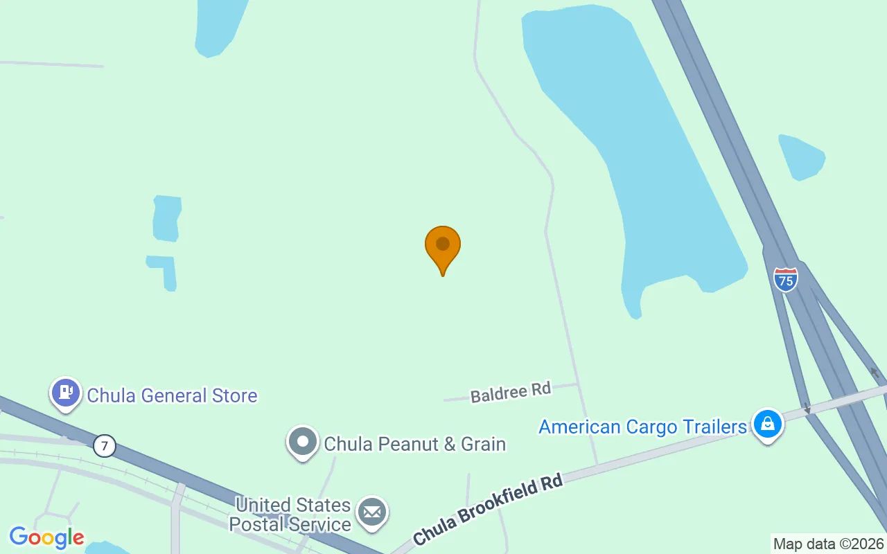 1.56 Acres in Chula - Tift County, GA in Tift County, GA
