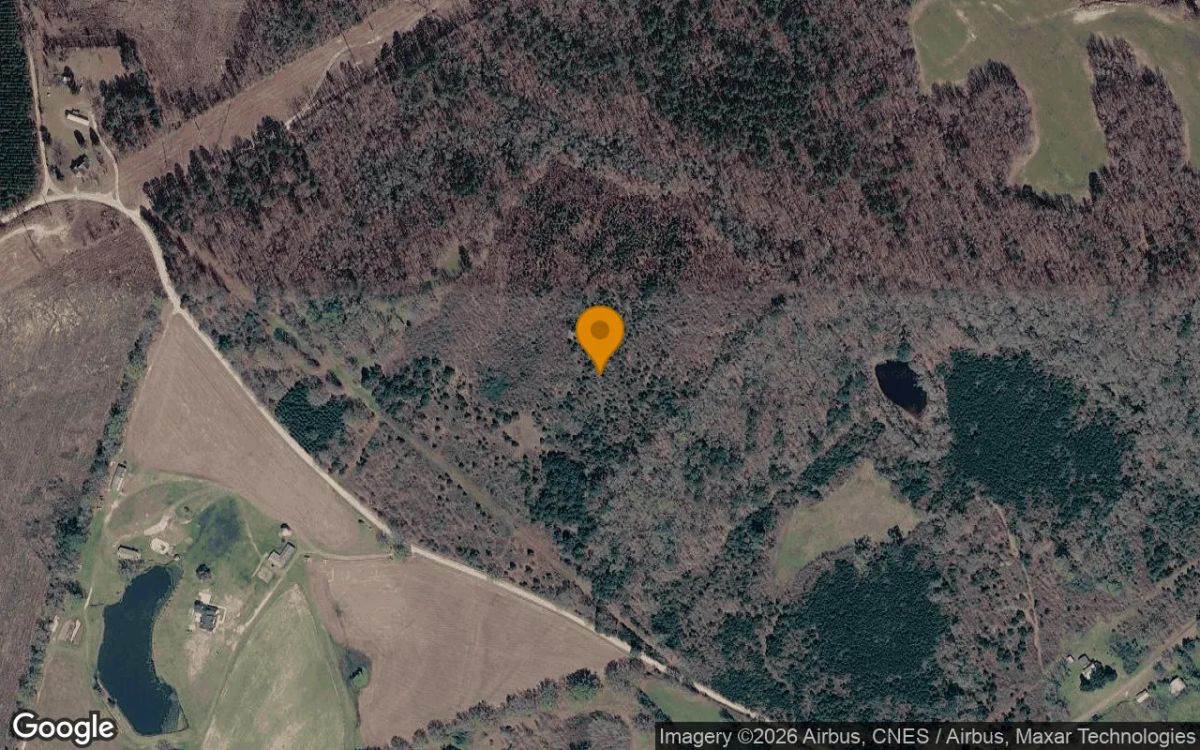 34.87 Acres in Warrenton - Warren County, GA - Main image