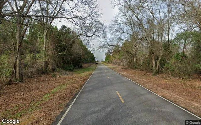 Decorative background for 34.53 Acres in Lumpkin - Stewart County, GA image 6