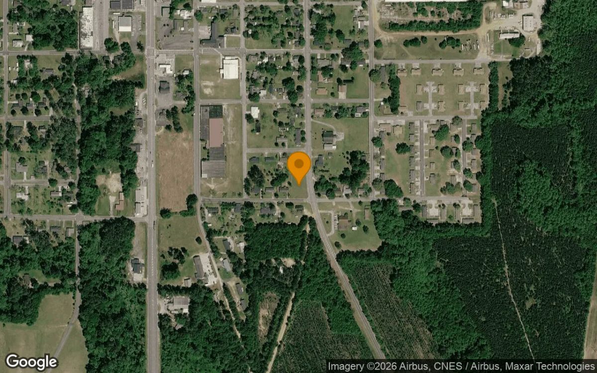 0.43 Acres in Hagan - Evans County, GA - Main image