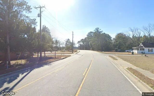Decorative background for 0.43 Acres in Hagan - Evans County, GA image 5