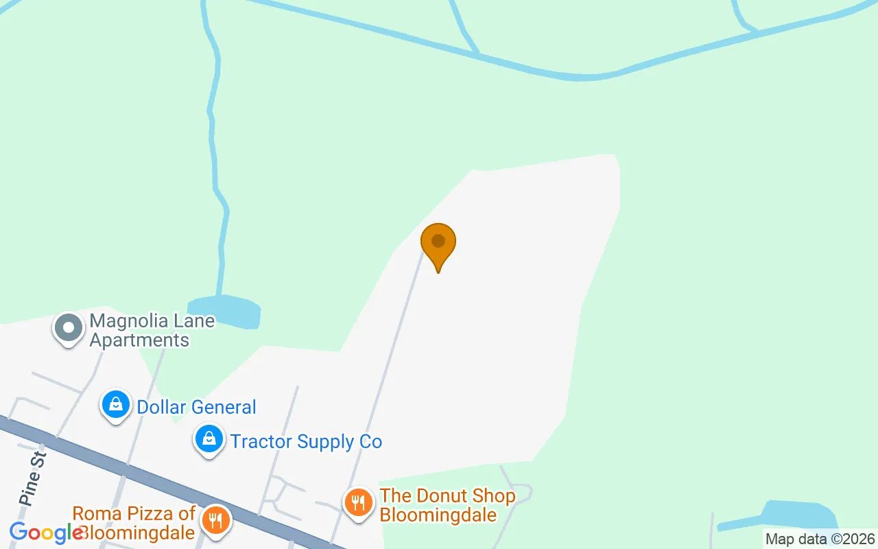 0.31 Acres in Bloomingdale - Chatham County, GA in Chatham County, GA