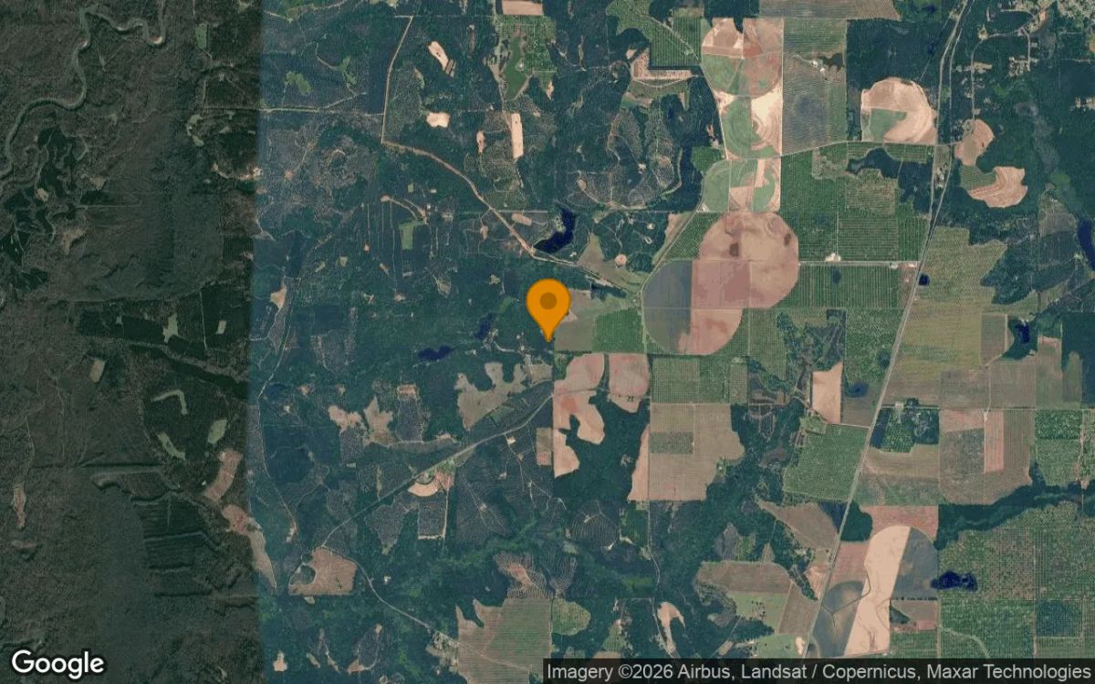1.51 Acres in Macon - Macon County, GA - Image 3