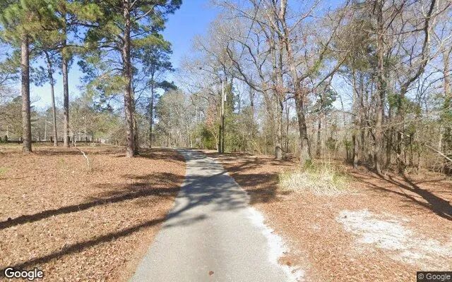 Decorative background for 1.51 Acres in Macon - Macon County, GA image 5