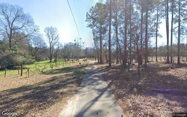 Decorative background for 1.51 Acres in Macon - Macon County, GA image 6