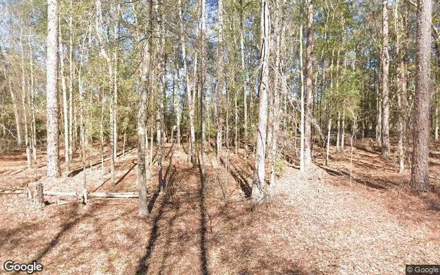 1.5 Acres in Reidsville - Tattnall County, GA in Tattnall County, GA