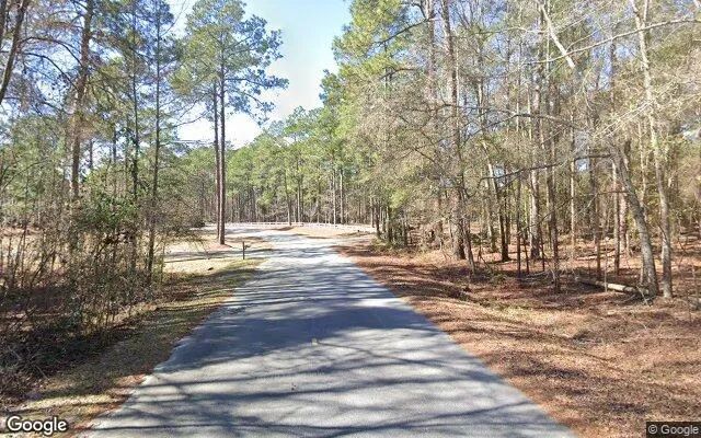 Decorative background for 1.5 Acres in Reidsville - Tattnall County, GA image 5