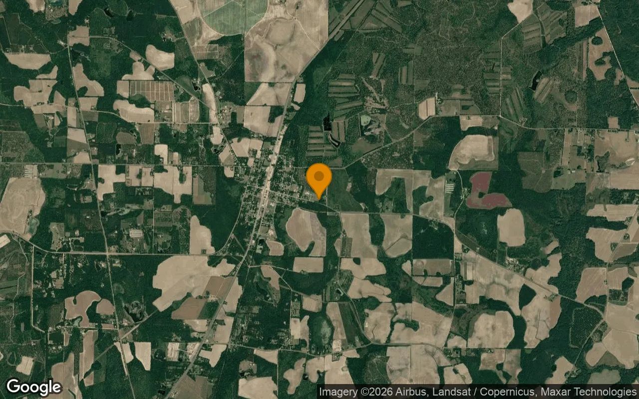 0.21 Acres in Coolidge - Thomas County, GA in Thomas County, GA