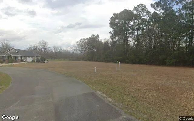 Decorative background for 0.21 Acres in Coolidge - Thomas County, GA image 5