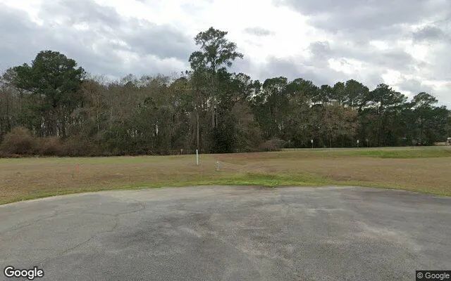 Decorative background for 0.21 Acres in Coolidge - Thomas County, GA image 6
