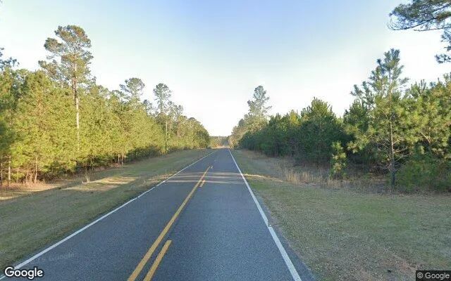 Decorative background for 3.48 Acres in Wadley - Jefferson County, GA image 6