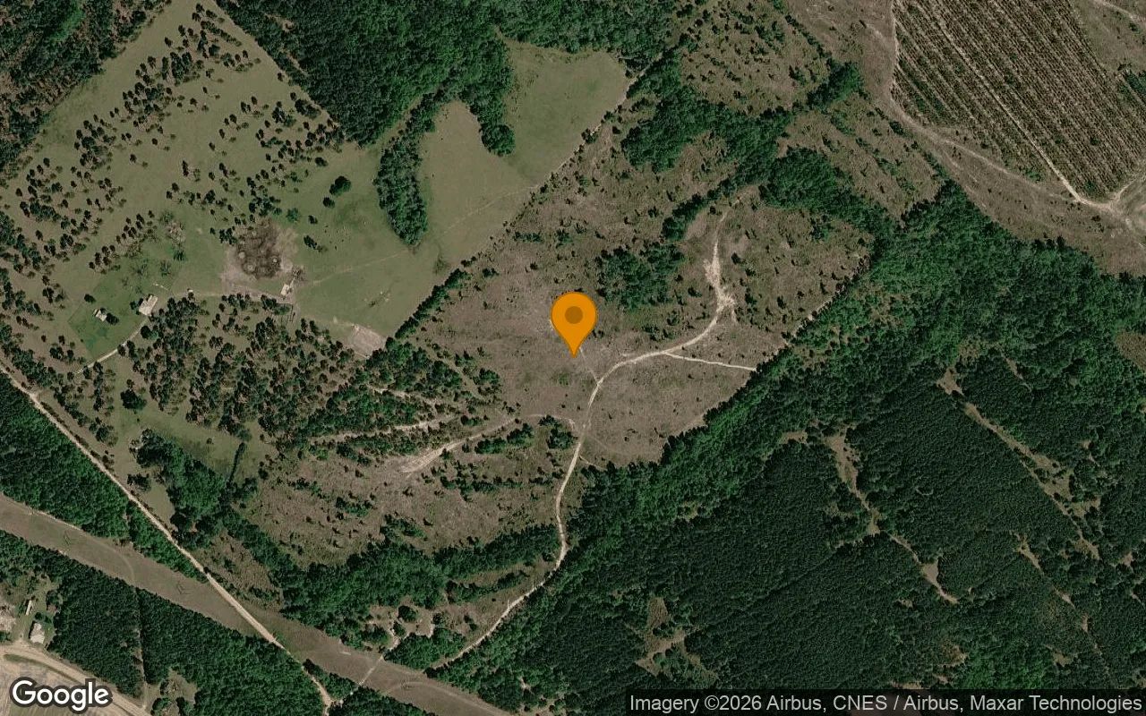 74.6 Acres in Eastman - Dodge County, GA in Dodge County, GA