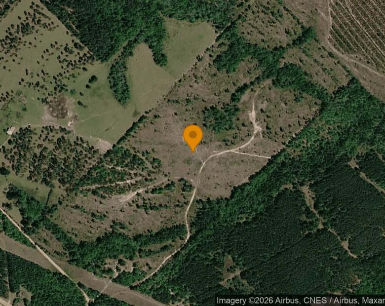 74.6 Acres in Eastman - Dodge County, GA in Dodge County, GA
