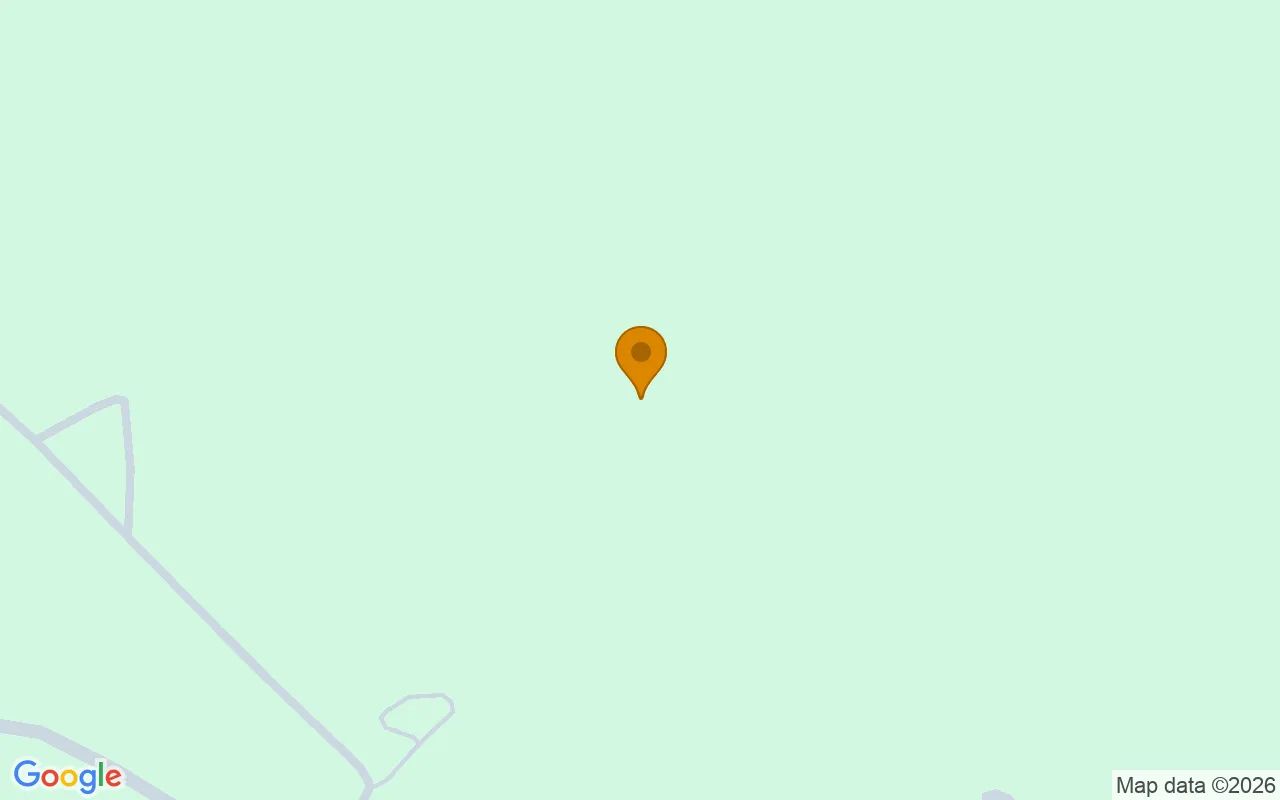 74.6 Acres in Eastman - Dodge County, GA in Dodge County, GA