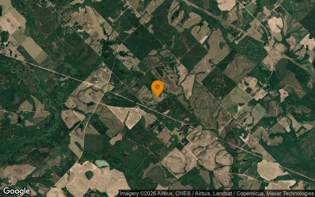 74.6 Acres in Eastman - Dodge County, GA in Dodge County, GA