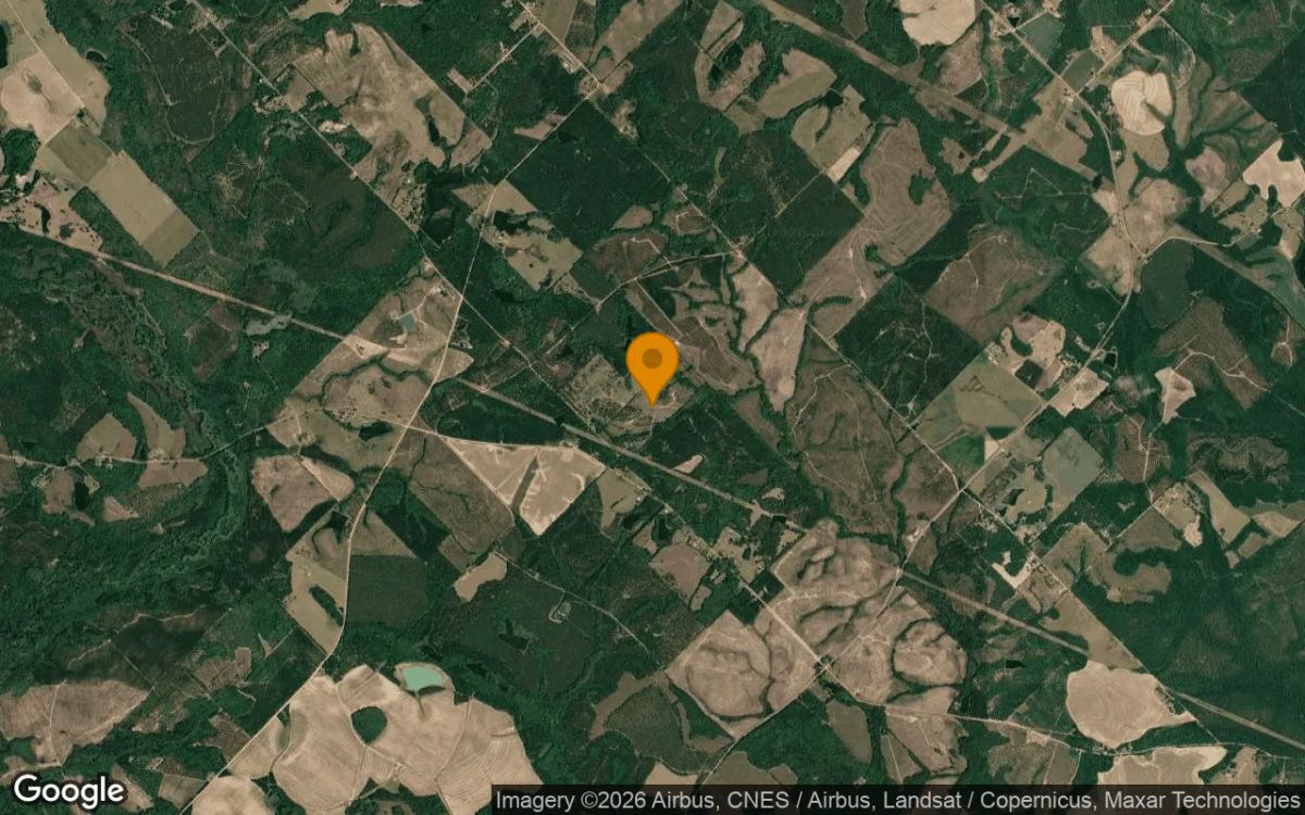 74.6 Acres in Eastman - Dodge County, GA - Image 3