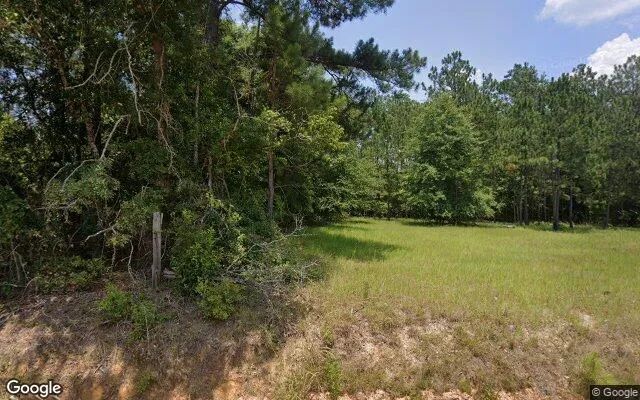 74.6 Acres in Eastman - Dodge County, GA in Dodge County, GA