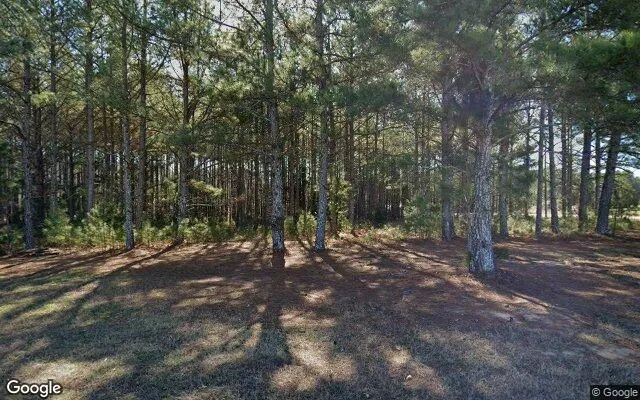 0.98 Acres in White Plains - Greene County, GA - Image 4