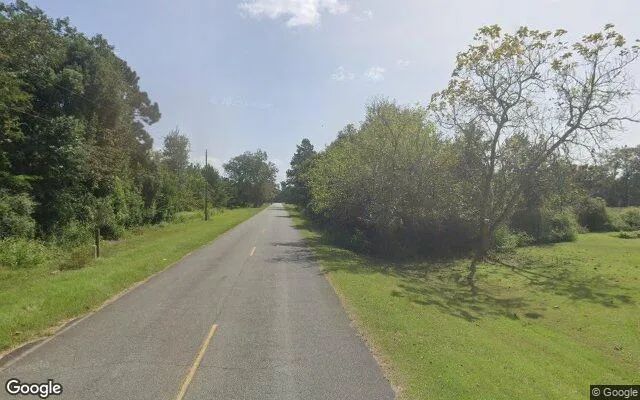 Decorative background for 0.44 Acres in Offerman - Pierce County, GA image 6