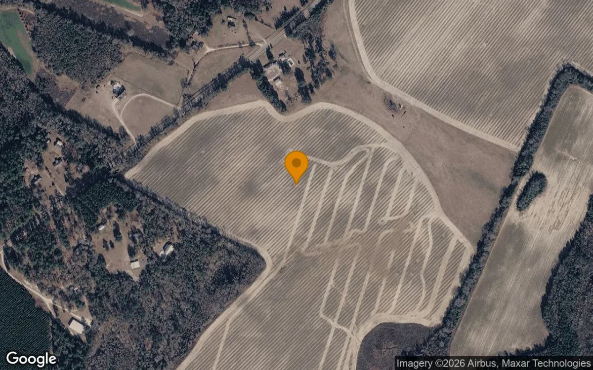 125.22 Acres in Girard - Burke County, GA - Main image