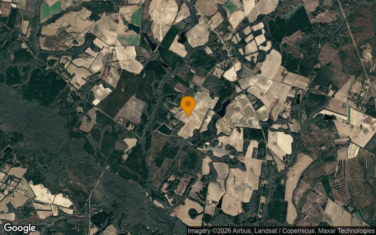 125.22 Acres in Girard - Burke County, GA - Image 3
