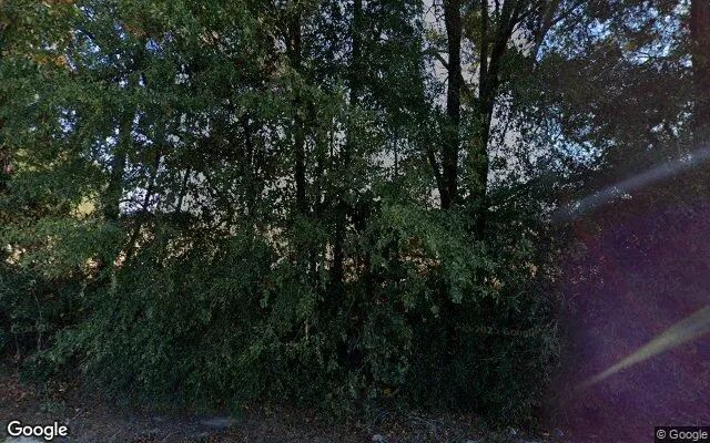 125.22 Acres in Girard - Burke County, GA in Burke County, GA