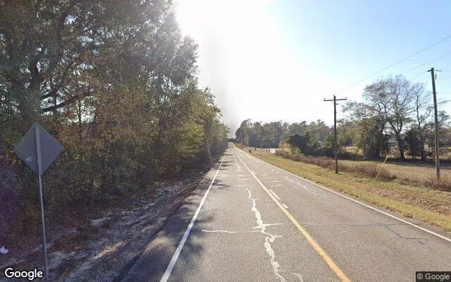 Decorative background for 125.22 Acres in Girard - Burke County, GA image 6