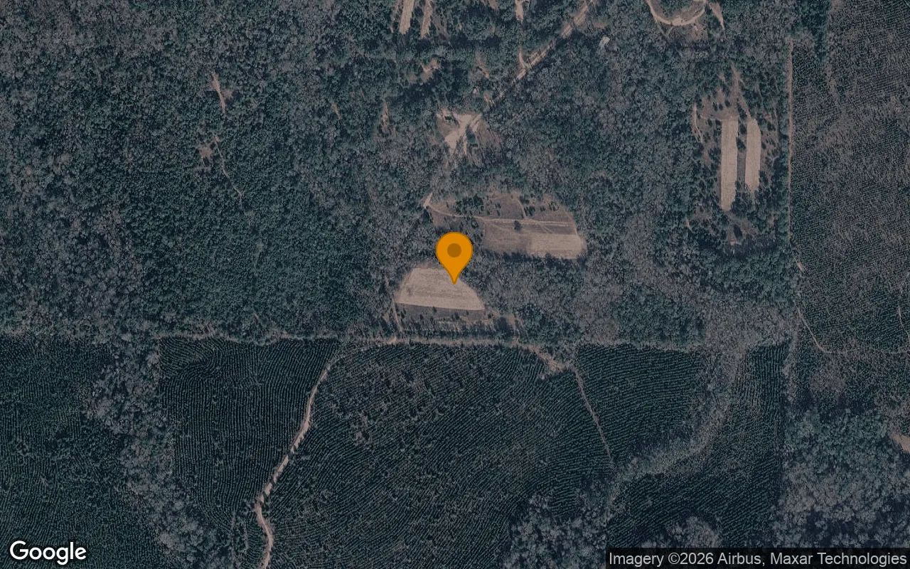 35.71 Acres in Coleman - Randolph County, GA in Randolph County, GA