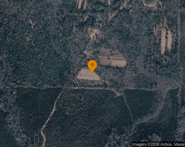 35.71 Acres in Coleman - Randolph County, GA in Randolph County, GA