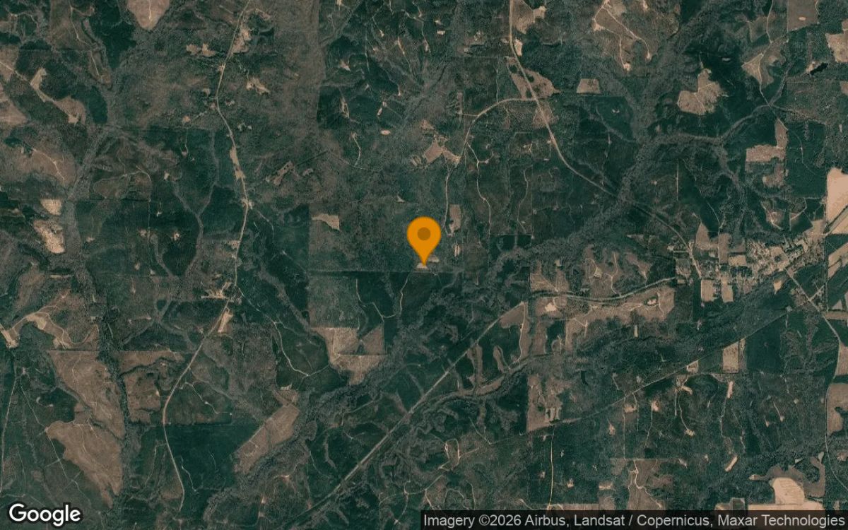 35.71 Acres in Coleman - Randolph County, GA - Image 3