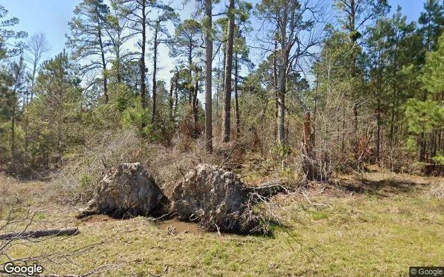 1.58 Acres in Garfield - Emanuel County, GA in Emanuel County, GA