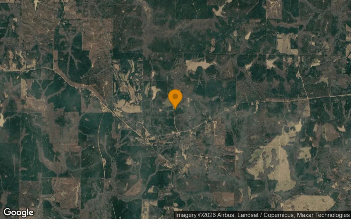 0.25 Acres in Greenville - Meriwether County, GA - Image 3