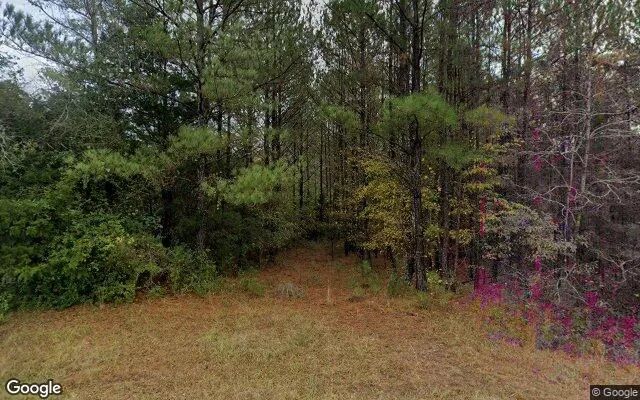 0.25 Acres in Greenville - Meriwether County, GA in Meriwether County, GA