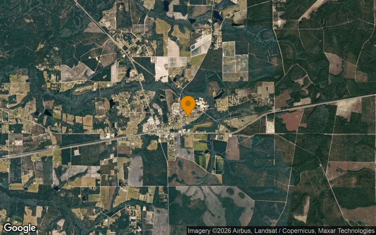 0.36 Acres in Hoboken - Brantley County, GA in Brantley County, GA