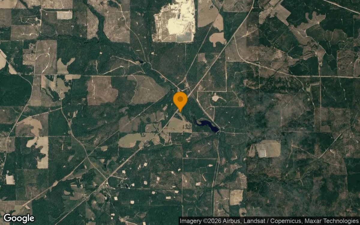35.38 Acres in Butler - Taylor County, GA - Image 3