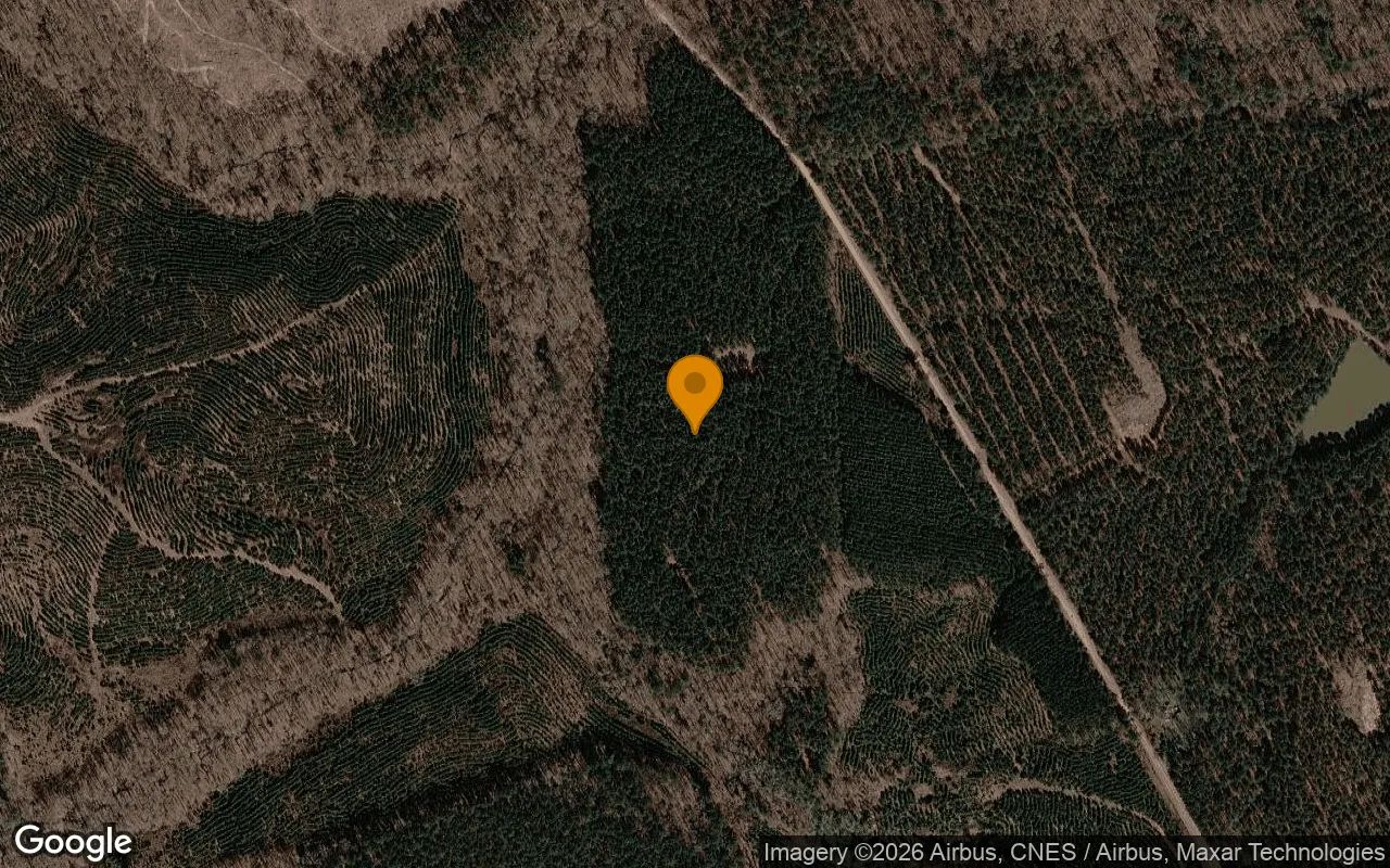 35.07 Acres in Norwood - Warren County, GA in Warren County, GA